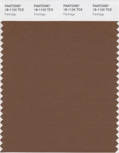 Vista 19 de PANTONE Tarjeta de muestra de color inteligente 18-1314X, bellota