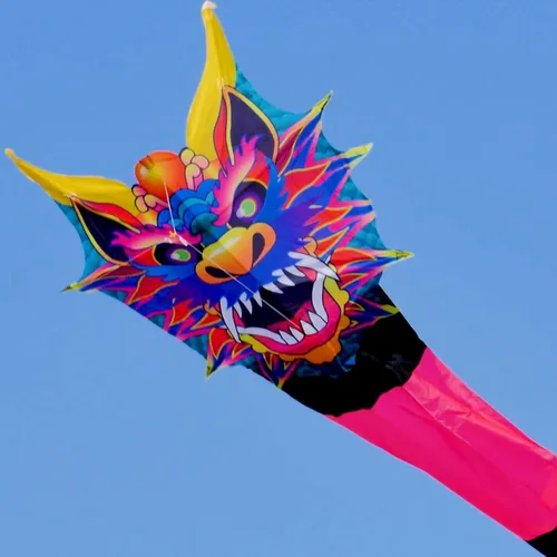 Vista 3 de X-Kites 305" Serpent - Cometa de gran