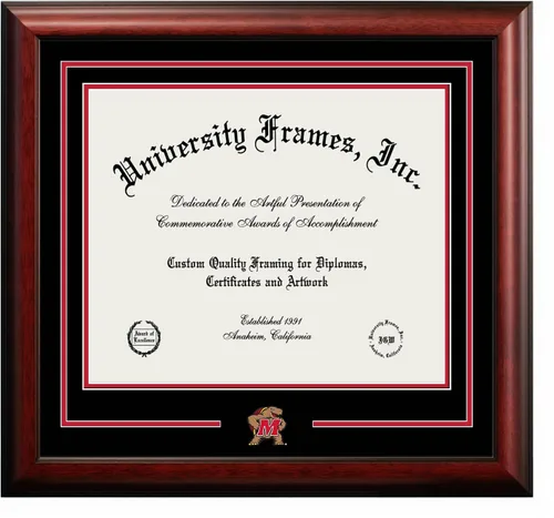 Vista 77 de Marco de Diploma Spirit NCAA
