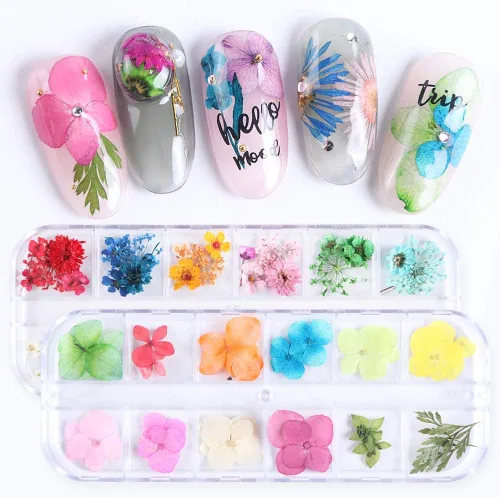 Vista 4 de 60 piezas de accesorios de resina de flores secas en 3D, mini naturales para suministros de arte de uñas, accesorios mixtos de flores estrelladas