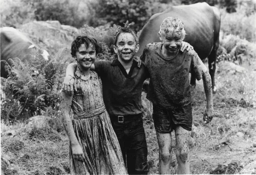 Vista 4 de My Life as a Dog (The Criterion Collection) Blu-ray