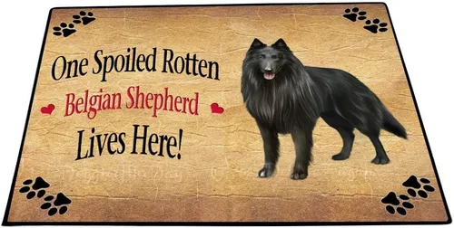 Vista 23 de Doggie of the Day Belgian Shepherd Dogs Floor Mat - 4th of July Independence Day - Best Dog Doormat - Protector Decor - Unique Portrait Art