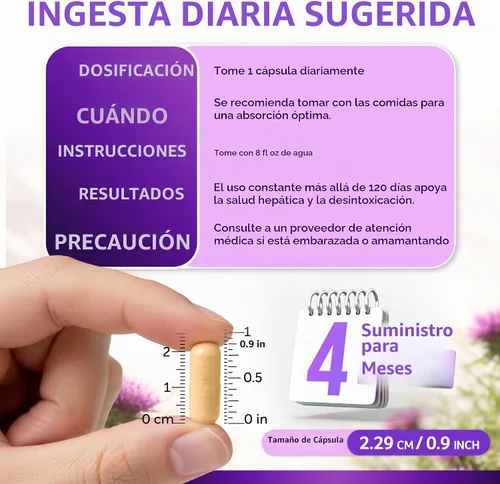 Vista 6 de Cardo mariano orgánico USDA 120ct, extracto 35:1, 80% silimarina