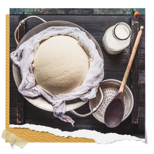 Vista 5 de Cuajo microbiano líquido para la fabricación de queso, coagulante vegetariano de la leche - 1 fl oz