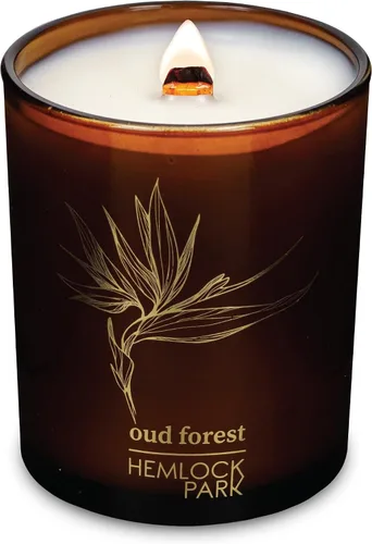 Vista 5 de Hemlock Park Vela de mecha de madera ámbar y dorada hecha a mano con cera de coco natural (estándar de 7.2 onzas, ámbar) Crackling Wood Wick