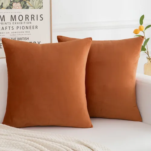 Vista 18 de Juego de 2 fundas de almohada decorativas de terciopelo, funda de cojín cuadrada suave para decoración del hogar para sala de estar, sofá o cama