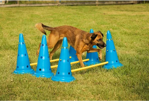 Vista 6 de Midlee Dog Cono & Pole Agility Set de 3 Perros grandes a pequeños ajustables, mascotas de juego en el patio trasero