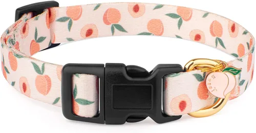 Vista 13 de Collar de perro hecho a mano para perros pequeños, medianos y grandes, verde aguacate con colgante, collares de moda para otoño e invierno (pequeño)