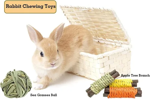 Vista 4 de Paquete de 13 juguetes para masticar conejo para animales pequeños – Conejito natural bolas de actividad de heno conejo, palitos de manzana, dulce