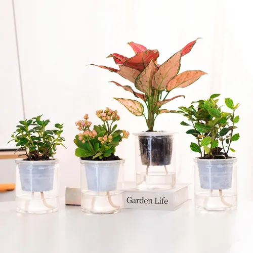Vista 4 de ORIMERC 4.5m de cordón capilar de mecha de autorriego para vacaciones, cuidador de plantas de bricolaje, dispositivo de sistema de agua automático