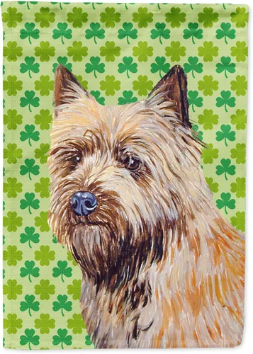 Vista 199 de Caroline's Treasures SS4442GF Affenpinscher Bandera de jardín con retrato de trébol del día de San Patricio para buzón, bandera decorativa
