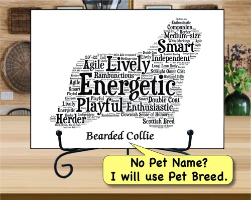 Vista 3 de PetArt.us Bearded Collie – Impresión artística personalizada – Nombre de mascota personalizado, regalo para los amantes de los perros o recuerdo