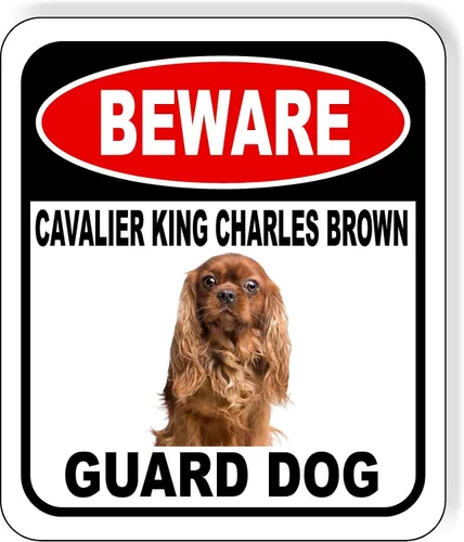 Vista 47 de BEWARE BASSETT HOUND GUARD DOG - Letrero compuesto de aluminio para exteriores, 8.5 x 10 pulgadas CUIDADO BASSETT HOUND GUARD PERRO