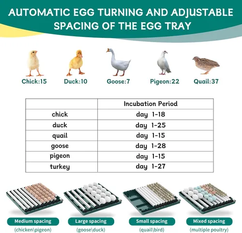 Vista 8 de Incubadora inteligente de aves de corral, 38 huevos, girador automático y control de temperatura para incubar huevos de pollo, codorniz, ave y pato