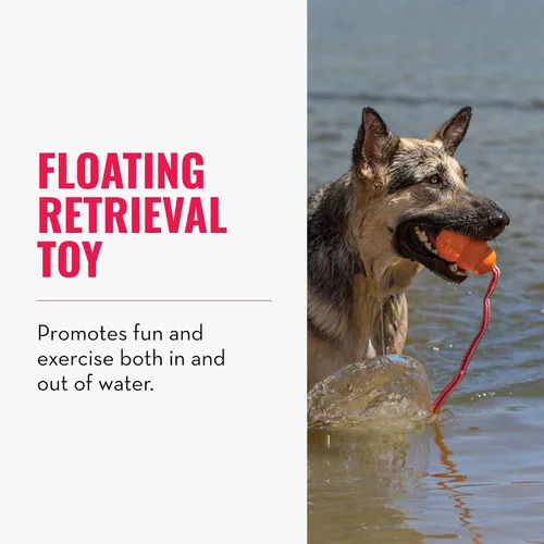 Vista 2 de KONG - Aqua - Juguete flotante para jugar en el agua - para perros medianos Floating KONG Natural Rubber Water Toy with Foam Interior & Rope for