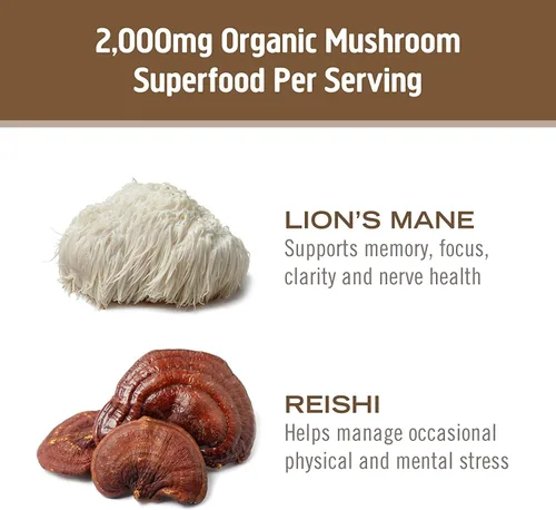 Vista 7 de OM MUSHROOM SUPERFOOD Brain Fuel - Cápsulas en polvo de hongos suplemento superalimentario, 90 unidades, 30 días, melena de león, mezcla de reishi