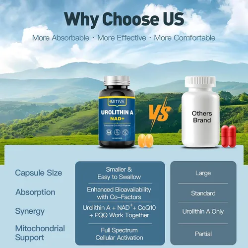 Vista 7 de Suplemento de Urolitina A con NAD+, CoQ10 y PQQ – Antioxidantes y apoyo mitocondrial para vitalidad y envejecimiento saludable – Enfoque