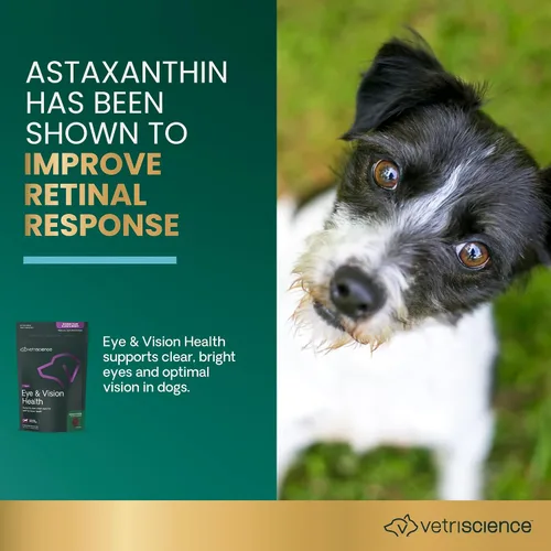 Vista 3 de VetriScience Eye & Vision - Masticables para la salud para perros, astaxantina y extracto de arándano, vitaminas y antioxidantes para los ojos