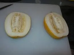 Vista 2 de Nuevas semillas frescas del árbol frutal de Citron Citrus Medica Etrog Esrog 5pcs Generic