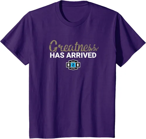 Vista 21 de Fantasy Football Greatness Has Arrived Camiseta Negro