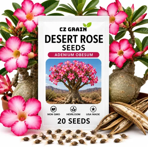 Vista 13 de CZ GRAIN Semillas de árboles exóticos para plantar (Baobab - 5 semillas)