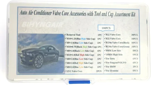 Vista 8 de Kit surtido de núcleo de válvula de aire acondicionado de automóvil, 100 unidades, herramienta de extracción de núcleo de válvula de CA, A/C R12