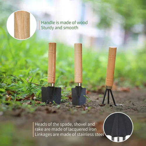 Vista 4 de 11 piezas de herramientas para suculentas, mini herramientas de jardín, herramienta de riego de suculentas como accesorios para plantas, kit