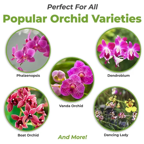 Vista 2 de Perfect Plants Fertilizante líquido para orquídeas de 8 oz. Alimento vegetal para todas las variedades epífitas Fomenta la repetición de auges