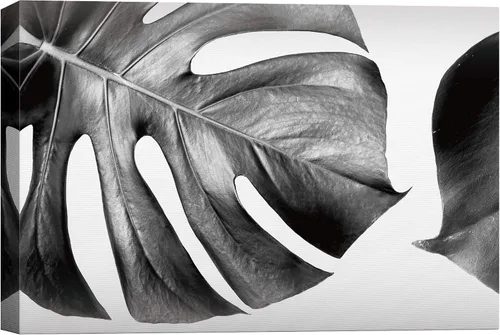 Vista 17 de SigNWIN - Lienzo decorativo para pared, diseño de hojas de monstera tropicales, fotografía realismo, diseño moderno en blanco y negro, para sala