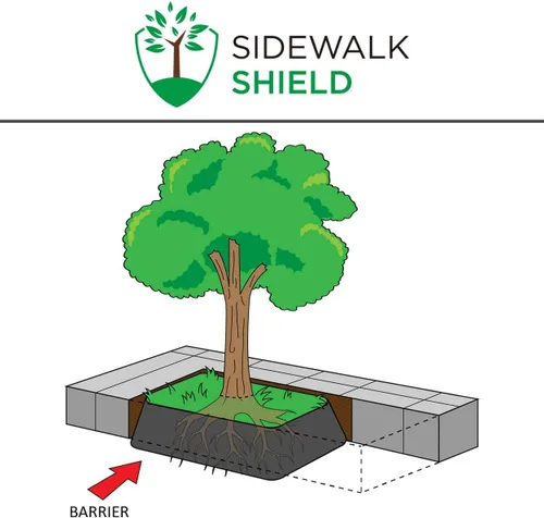 Vista 4 de Barrera de control de raíces de árbol (servicio estándar - 18 pulgadas de profundidad, 50 pies)