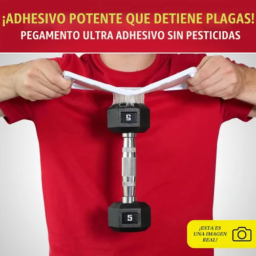 Vista 3 de Catchmaster -6 trampas de pegamento resistentes a la congelación para ratones e insectos, para interiores para el hogar, bandeja adhesiva