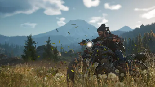 Vista 10 de Days Gone Standard - PC Código de juego en línea