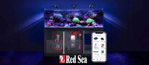 Vista 7 de Red Sea Reef Foundation A (Ca/SR), suplemento de 16.9 fl oz - Aditivo de calcio y estroncio para un crecimiento saludable de coral en acuarios