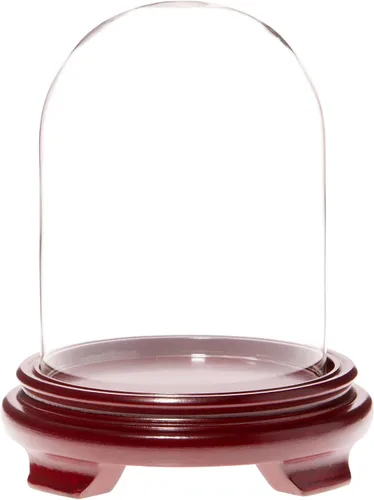 Vista 2 de Plymor Cúpula de cristal de 4.5 x 6 pulgadas (base con patas de chapa de madera negra)