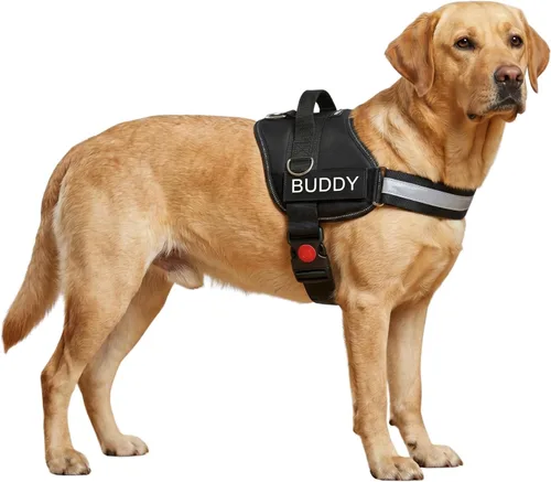 Vista 8 de Arnés para perro para cachorros pequeños, sin estrangulamiento, reflectante, ajustable, acolchado, para caminar y entrenar fácilmente (negro, XS)