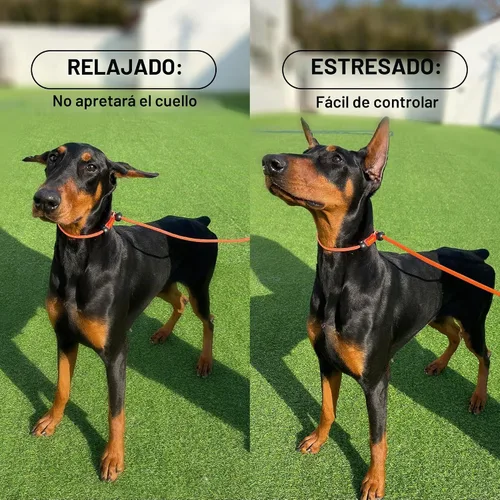Vista 6 de HowGo Correa antideslizante para perro con 2 tapones con resorte