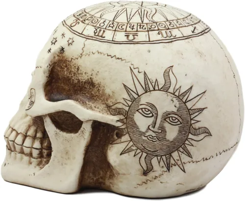 Vista 4 de Ebros Gift Astrología solar Estatua del cráneo celestial, profecía antigua, cartografía, mapa de reliquia, cráneo, figura decorativa, osario, Crema