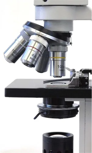 Vista 2 de AmScope Microscopio monocular compuesto de doble vista D120C-MS, objetivos WF10x y WF25x, aumento 40X-2500X, Brightfield, condensador Abbe de 1,25