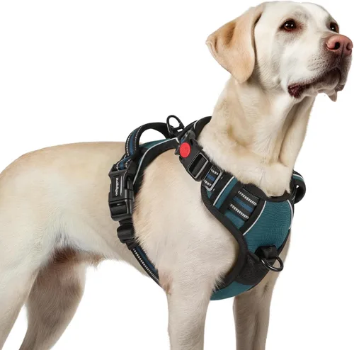 Vista 10 de Rabbitgoo - Arnés para perro de tamaño pequeño, actualizado, fácil de poner y quitar con 3 hebillas Sin tirones, sin estrangulamiento, caminar