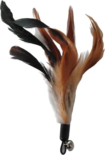 Vista 7 de Juguetes para gatos EcoCity - Juguetes de plumas para gatos sin teñido químico para gatos de interior - Incluyen varita para gatos y recambios