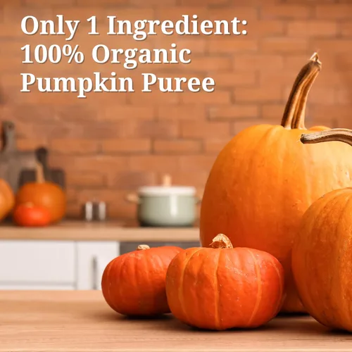 Vista 8 de Farmer's Market Foods Puré de calabaza orgánico enlatado, 15 onzas (paquete de 12)