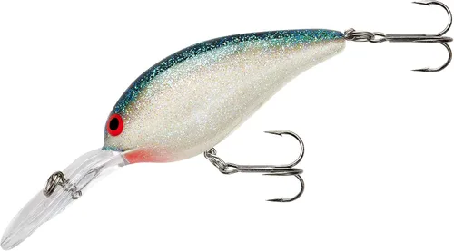 Vista 14 de Norman Deep Little N Crankbait Bass
