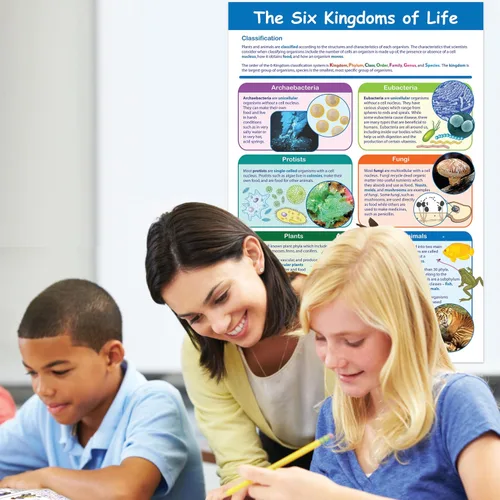 Vista 4 de NewPath Learning -34-6112 Póster de Los Seis Reinos de la Vida - Laminado, A Todo Color, 23" x 35