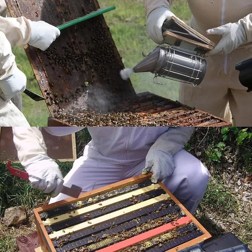 Vista 2 de Kit de ahumador Bee Hive, herramienta de apicultor de acero inoxidable