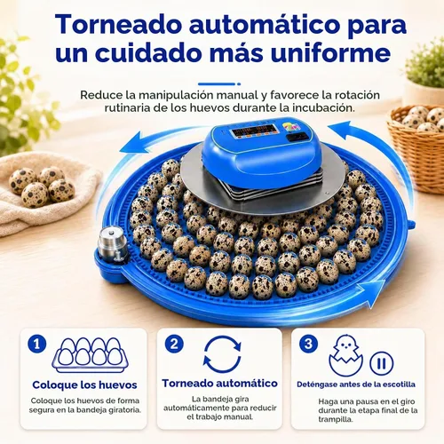 Vista 4 de Incubadora de huevos de codorniz de 100 huevos con girador automático y control de humedad