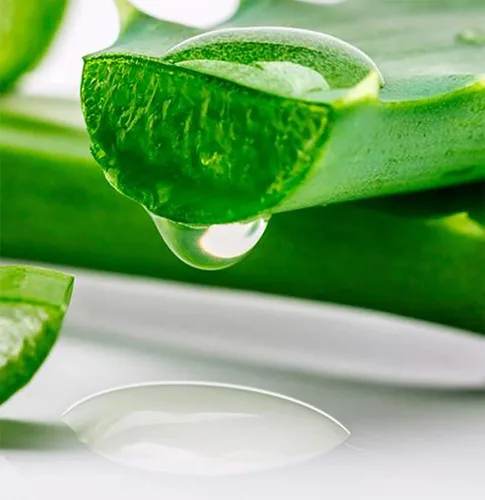Vista 8 de Sun Laboratories by Giesee Gel de hielo de aloe vera, gel de aloe vera orgánico puro, loción para después del sol con aloe para aliviar quemaduras