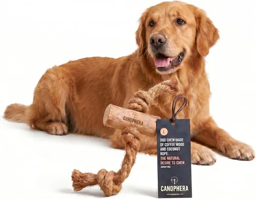 Vista 11 de Canophera Juguete masticable de madera y coco para perros para dientes y encías saludables, tamaño pequeño, todas las razas de perros