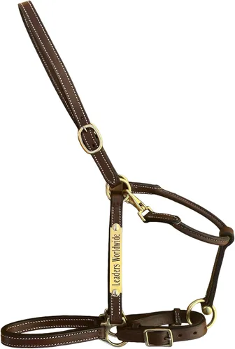 Vista 3 de Leaders - Cabestro de cuero de 3/4 pulgadas para caballos con placa de nombre grabada personalizada, cuero marrón con herrajes de latón macizo