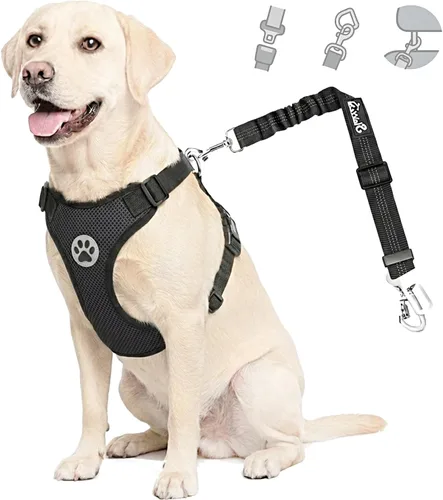 Vista 10 de Lukovee Cinturón de seguridad para perro para el coche, arnés de coche ajustable para perros grandes, medianos y pequeños, cinturón de seguridad