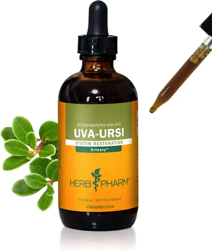 Vista 7 de Herb Pharm Uva Ursi Liquid Extra Count para soporte del sistema urinario, 1 oz